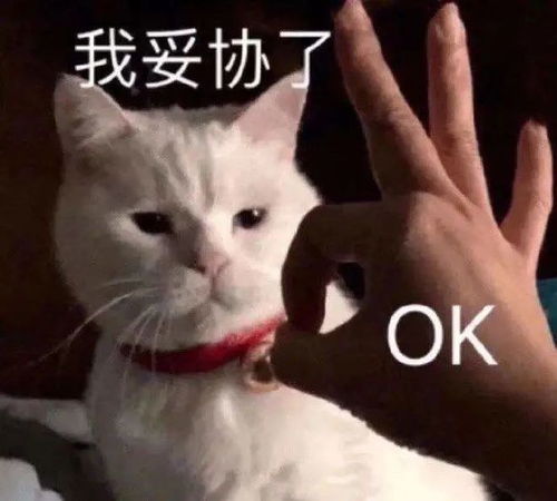  汕头,6.92412