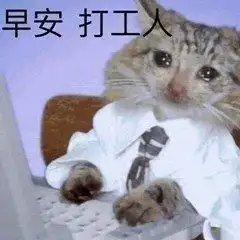 有没有那种早安打工人表情包文案