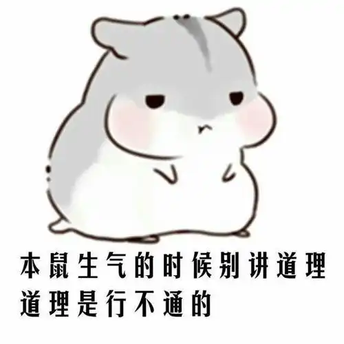  有哪些表情包可以用来撩汉