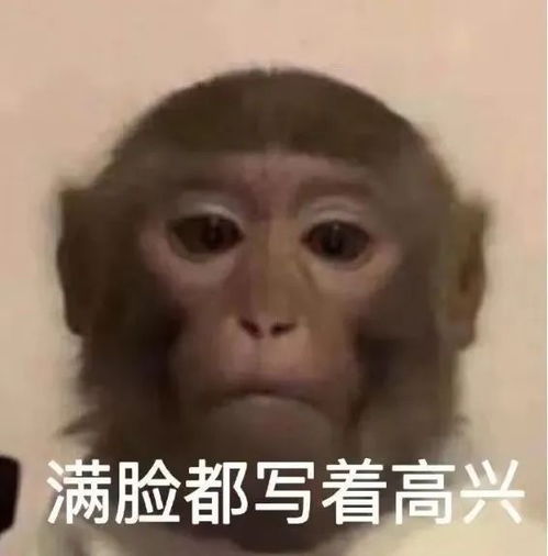  所有人假期余额已不足这个十一假期都发生了啥