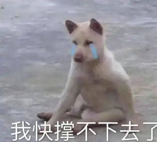 2021年度十大网络用语出炉,双语版本也来了 2021年度十大网络用语出炉,双语版本也来了