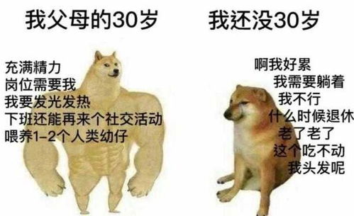 柴犬表情包cheems天堂