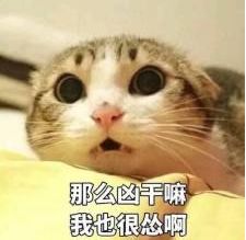  年轻人认怂守则算了