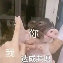  冷空气台风雨雨雨都来了不想堵在路上,就收下这份避堵指南深圳接下来的天气...