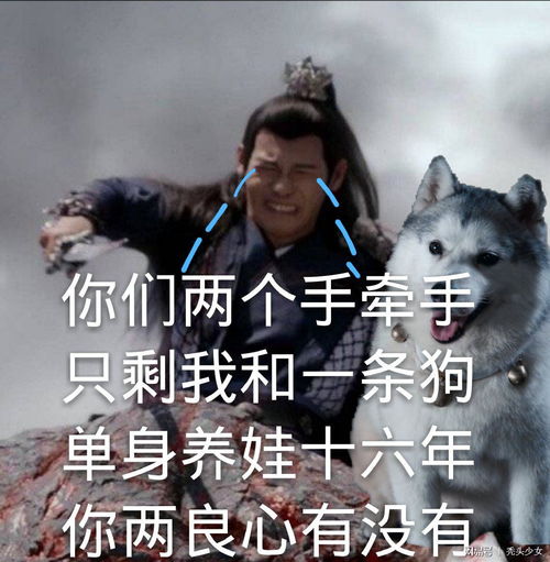  你不得不get的表情包之陈情令