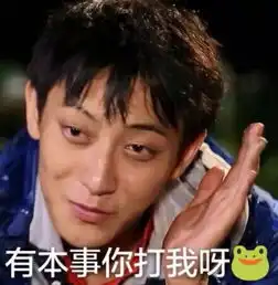  新晋地主家的傻儿子黄子韬,了解一下