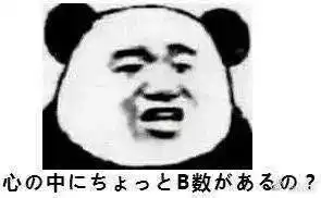  憨熊猫跟他的伙伴们