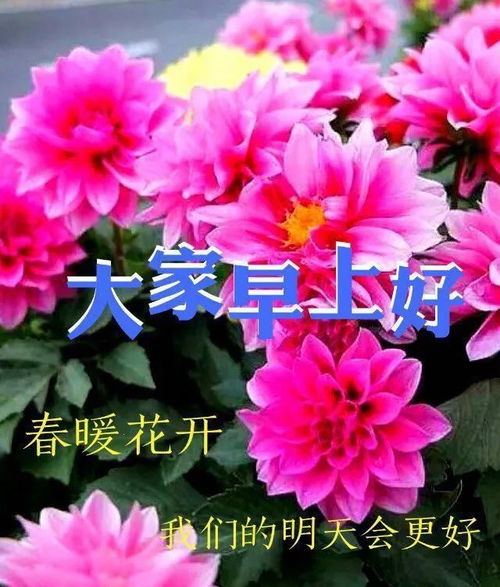  夏季群发早上好最新唯美表情包,好看的早上好祝福语图片带字