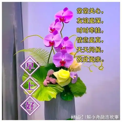  珍惜美丽相遇,珍藏这份情意