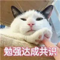  勉强达成共识表情包一般般的我一般般的拽表情包下载乐游网游戏下载