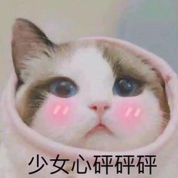 公主请吃糖表情包图片