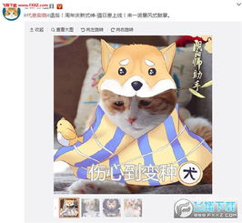 双人贴贴表情包全世界