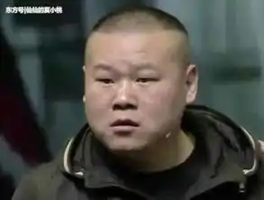  我的天呐,小岳岳新五环之歌因三个字涉侵权,好在有惊无险