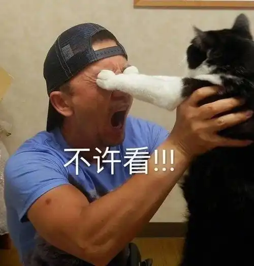  表情包丨向恶势力卖萌
