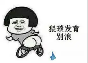 2017年网络流行语有哪些2017年网络流行语大全合集 2017年网络流行语有哪些2017年网络流行语大全合集