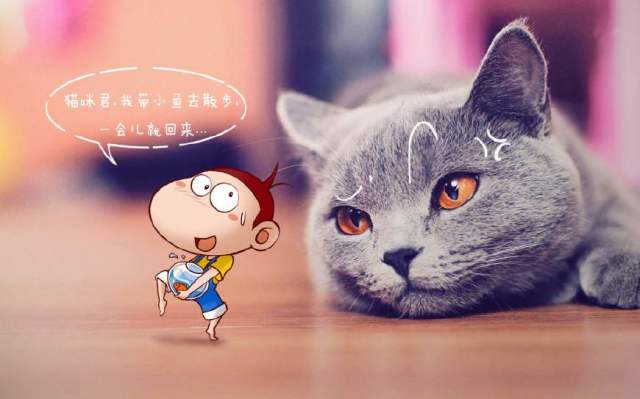 猫捏脸表情包手绘摇头