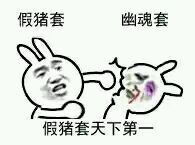  dnf假猪套天下第一是什么梗假猪套天下第一表情包