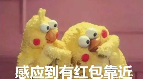  咔咔丰收照金天子扫码王驾到