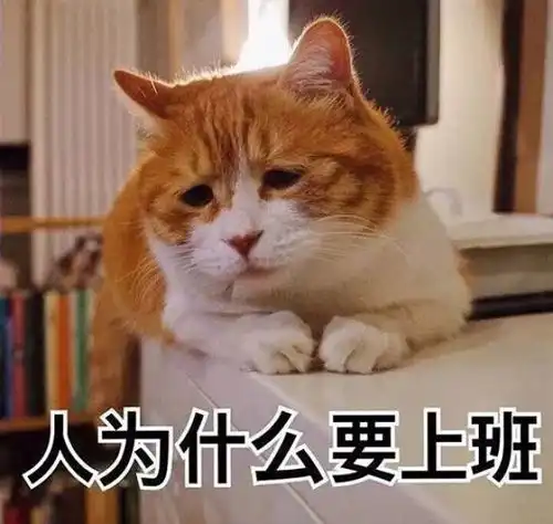  上一个看到这套吐槽工作表情包的人,已经被boss拿去祭天了