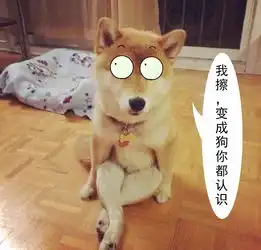  弄了个ps表情