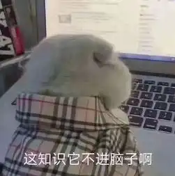  垃圾分类逼疯上海人湖北人别笑,马上就轮到你了