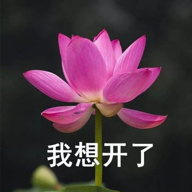  国内专柜3万2买的dior包,用两次就掉色专柜送你一瓶迪奥香水吧徐女士
