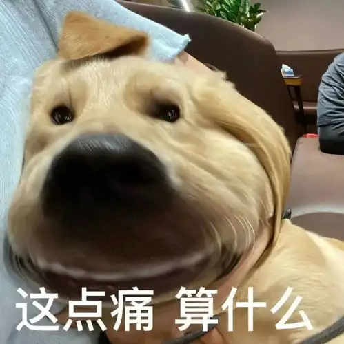  表情包强颜欢笑罢了我快乐不起来