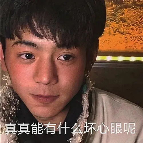  组内定律,每次直播过后就吵架