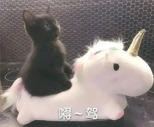  新热门沙雕表情包