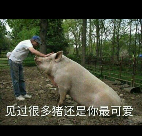  北京国际机场