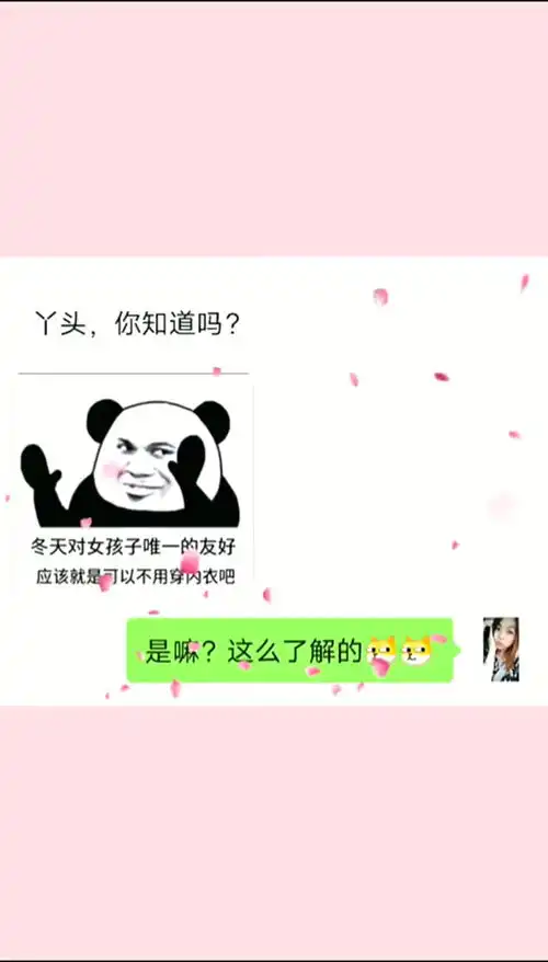  每帧都是表情包表情包小可爱已上线