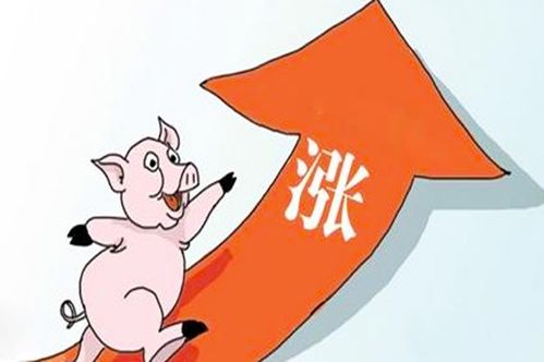  5月20日果然,今天是个有爱的日子,东北猪价全面上涨