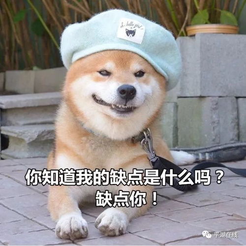  十年资深红娘吐槽满27岁就是剩女,网友回复亮了平湖姑娘你服吗