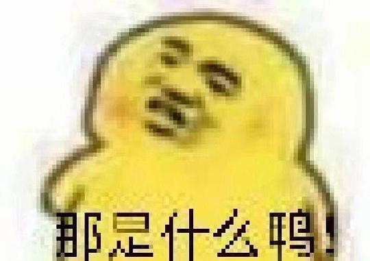  吃瓜群众的相册表情包