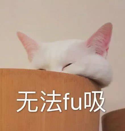  热门沙雕表情包,所以爱会消失对不对