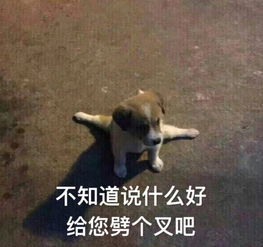  全球表情包哪家强看来看去还是中国人称霸