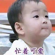  单月订单量接近上半年总和平湖这些老板终于熬出头了