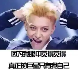  关于表情包,你知道多少界面新闻jmedia