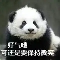 黄色熊猫表情包