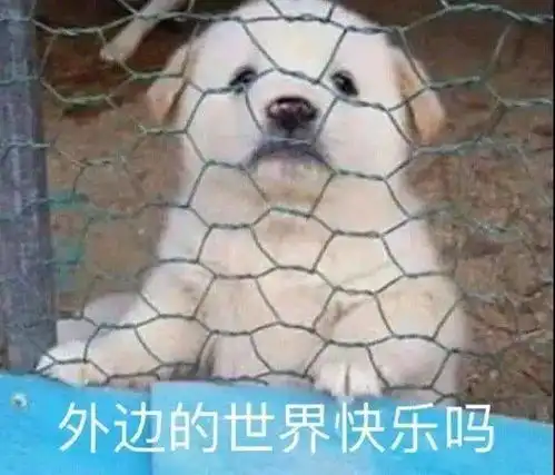  看到大汪官宣离婚,蒋勤勤陈建斌坐不住了哈哈哈哈哈哈哈
