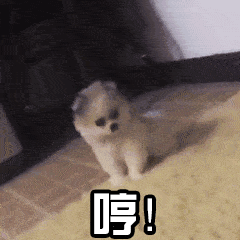  每日一笑,可以说是很努力地在碰瓷了