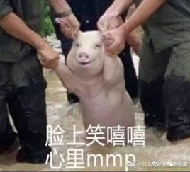  关晓彤脸这么凹却能长出如此高的鼻子,不对劲啊
