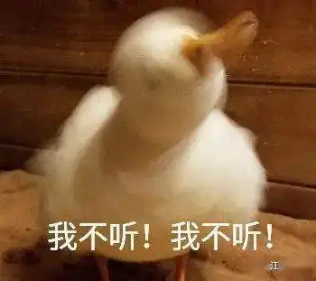  海安,官宣
