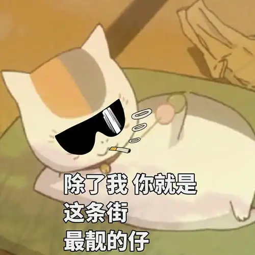  动漫表情包精选带上这个绿帽你将获得无穷的力量