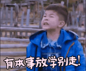  一只猫的死牵动着几十万人的心,原因竟然是.......