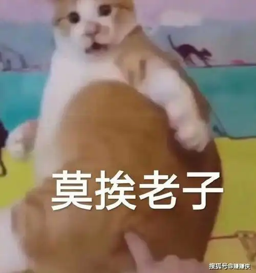  污污表情包图片昨晚你很棒,钱在桌上,我先走了