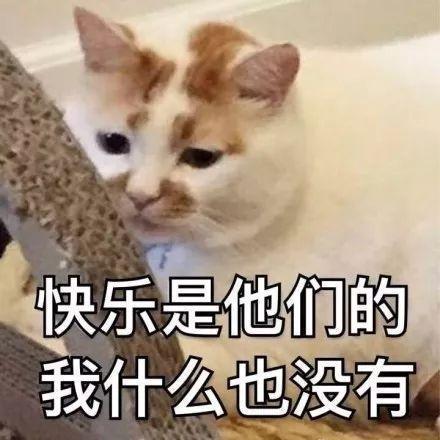  财政部大数据公布初级出考率不足50,考试难度炸裂