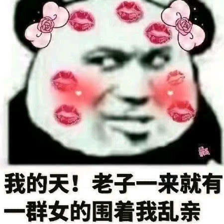  最近很火的表情包人在做,猫在看,答应我别做舔狗好吗