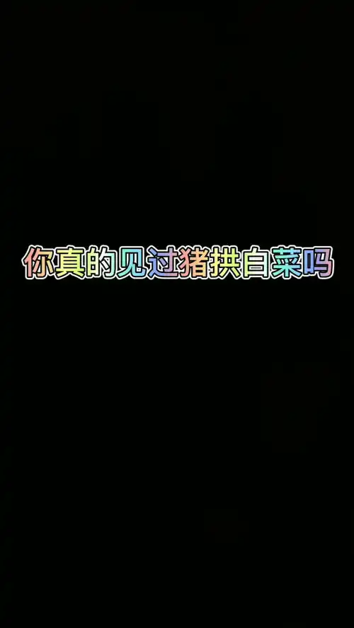  你真的见过猪拱白菜吗