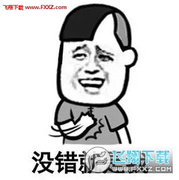  到底装不装逼好呢表情包下载飞翔下载